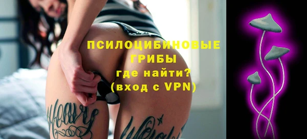 не бодяженный Белокуриха