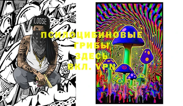 не бодяженный Белокуриха